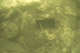 Mortise1.html